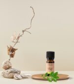 Eterično olje čajevca - slika 2