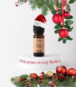 Eterično olje Pomaranča & Cimet v steklenički, idealno za ustvarjanje prijetnega in sproščujočega vzdušja.