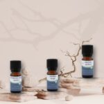 Mali paket eteričnih olj za zimo z borom, sivko in mešanico evkaliptusa in limone na elegantni kamniti podlagi.